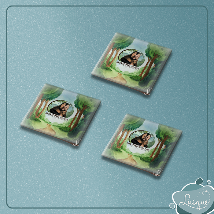 Kit c/ 3 azulejos c/ imã (INSTITUTO OLIVIA - FLORESTA)