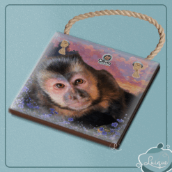 Azulejo decorativo (INSTITUTO OLIVIA - OLHAR 15,5x15,5cm c/ cordinha)