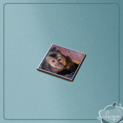 Kit c/ 1 azulejo c/ imã (INSTITUTO OLIVIA - OLHAR)