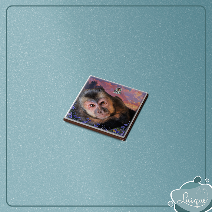 Kit c/ 1 azulejo c/ imã (INSTITUTO OLIVIA - OLHAR)