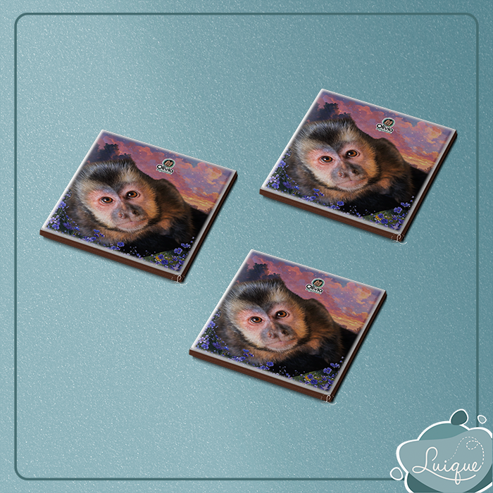 Kit c/ 3 azulejos c/ imã (INSTITUTO OLIVIA - OLHAR)