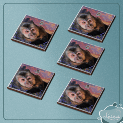 Kit c/ 5 azulejos c/ imã (INSTITUTO OLIVIA - OLHAR)