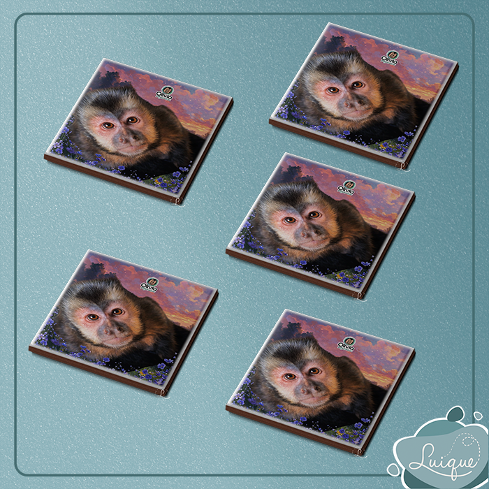 Kit c/ 5 azulejos c/ imã (INSTITUTO OLIVIA - OLHAR)