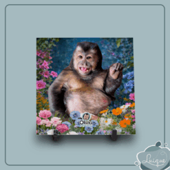 Azulejo decorativo (INSTITUTO OLIVIA - BARRIGÃO LINDO 15,5x15,5cm)