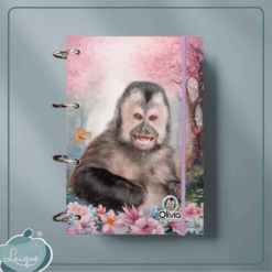 Caderno Argolado (INSTITUTO OLIVIA - SORRISO)