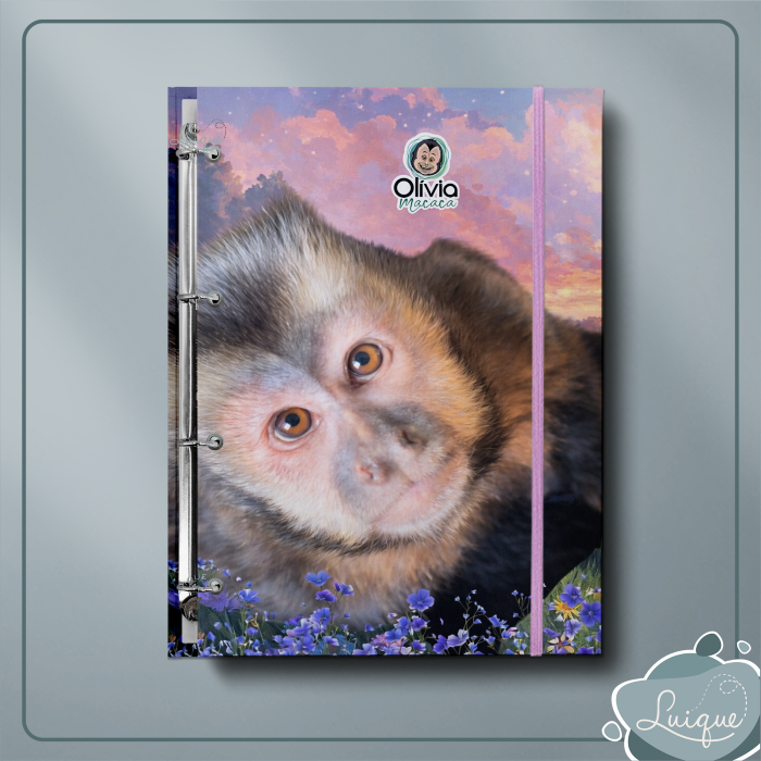 Fichário Argolado (INSTITUTO OLIVIA - OLHAR)