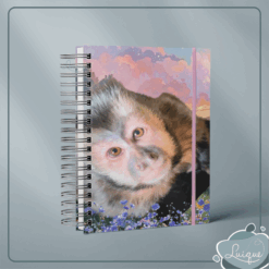 Agenda (INSTITUTO OLIVIA - Olhar)