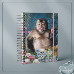 Agenda (INSTITUTO OLIVIA - BARRIGÃO LINDO!)