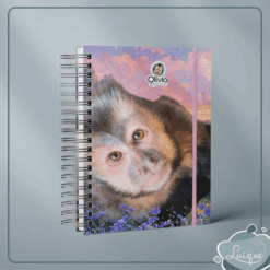 Agenda (INSTITUTO OLIVIA - OLHAR)