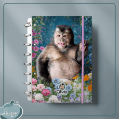 Caderno de Disco (INSTITUTO OLIVIA - BARRIGÃO LINDO)