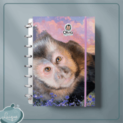 Caderno de Disco (INSTITUTO OLIVIA - OLHAR)