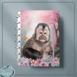 Caderno de Disco (INSTITUTO OLIVIA - SORRISO)