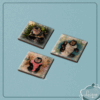 Kit c/ 3 azulejos c/ imã (INSTITUTO OLIVIA - PLENITUDE, FLORESCER e SAPECA)