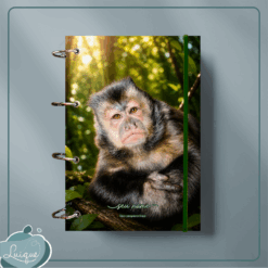 Caderno Argolado (INSTITUTO OLIVIA - PLENITUDE)