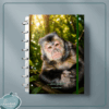 Caderno de Disco (INSTITUTO OLIVIA - PLENITUDE)