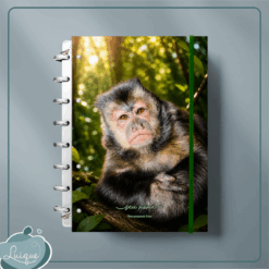 Caderno de Disco (INSTITUTO OLIVIA - PLENITUDE)