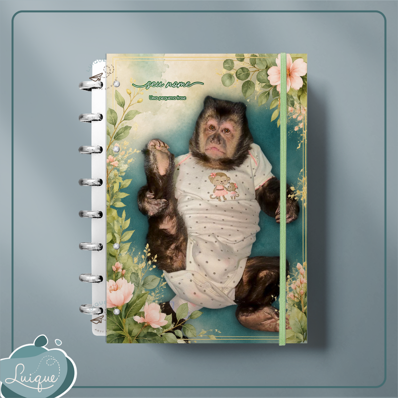 Caderno de Disco (INSTITUTO OLIVIA - SAPECA)