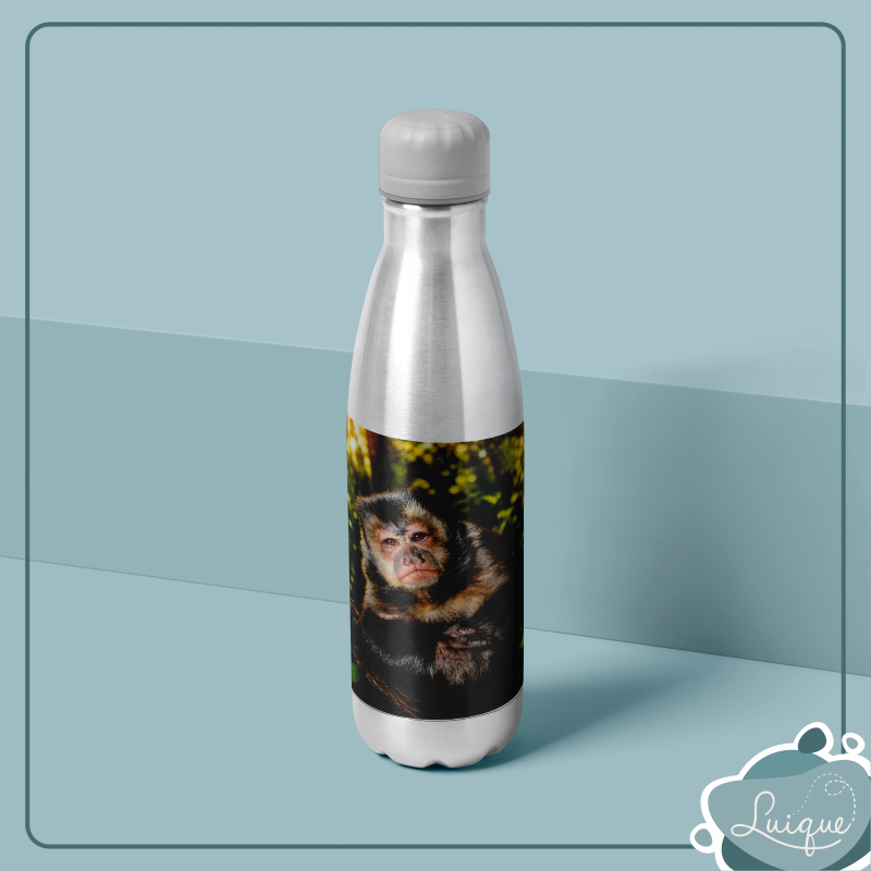 Garrafa térmica / Inóx estampado / 350ml / Térmica (INSTITUTO OLIVIA - PLENITUDE)