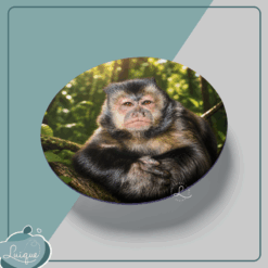 Mousepad redondo (INSTITUTO OLIVIA - PLENITUDE)