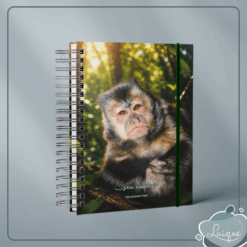 Agenda (INSTITUTO OLIVIA - PLENITUDE)