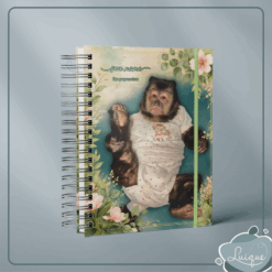 Planner (INSTITUTO OLIVIA - SAPECA)