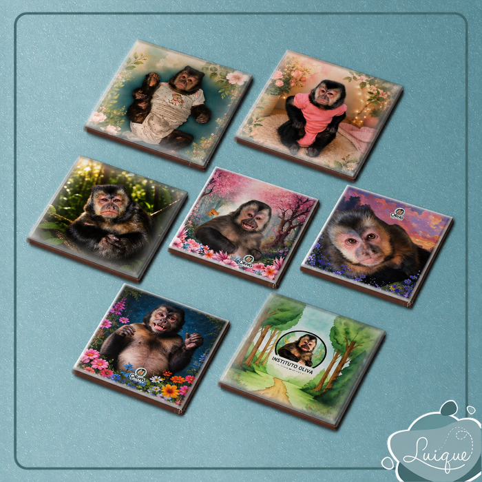 Kit c/ 7 azulejos c/ imã (INSTITUTO OLIVIA - FLORESTA, BARRIGÃO, OLHAR, SORRISO, PLENITUDE, FLORESCER e SAPECA)
